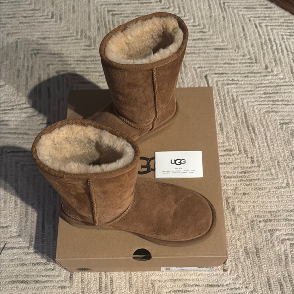 Ugg short boots in Chestnut